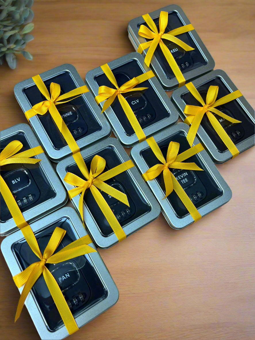 TSA Approved Padlocks