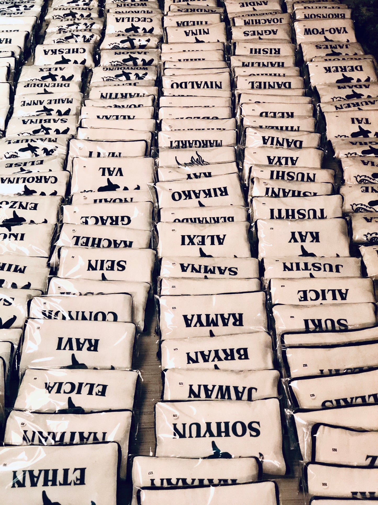 Foldable Laundry Bags