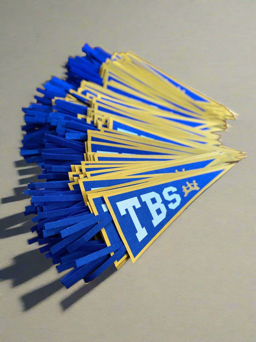 Mini School Pennants / Flags 100's