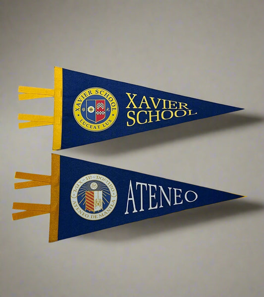 Mini School Pennants / Flags 100's