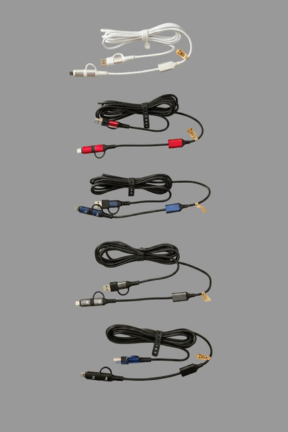 Extra Long 4-in-1 Charging Cable (3m)