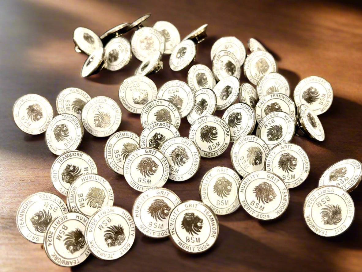 Lapel Pins 100's