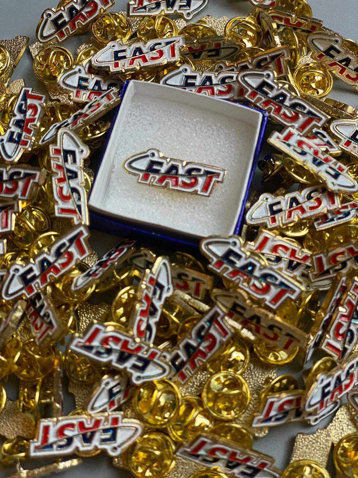 Lapel Pins 100's